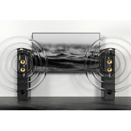 FENDA F&D repro T-60X Pro/ 2.0/ 120W/ černé/ dřevěné/ BT5.3/ NFC/ USB/ optický vstup/ dálkové ovládání/Karaoke