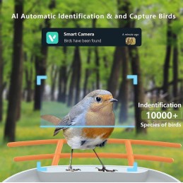 TRX Innotronik IEN-BC69B Bezpečnostní Chytré wi-fi solární ptačí krmítko s 2MP kamerou a li-ion bateriemi