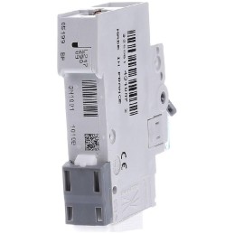 Solarmi Hager MBN110 jistič 10A pro měniče GridFree