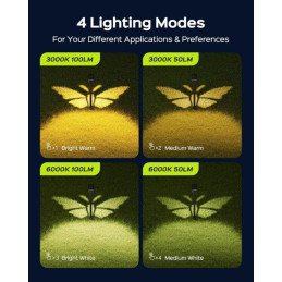 IMMAX SUN BUTTERFLY venkovní solární zápichové LED osvětlení 1,5W, IP65, černé