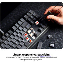 Endorfy mechanická klávesnice Thock V2 TKL / drátová / ARGB /  red sw. / USB / US layout