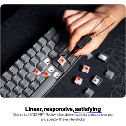 Endorfy mechanická klávesnice Thock V2 Compact / drátová / ARGB /  red sw. / USB / kompaktní / US layout