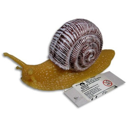 Šnek 13 cm, 12 ks v boxu