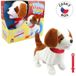 Pejsek Besinka s píšťalkou