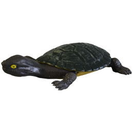 Želva strečová, 12 ks v boxu, 15cm