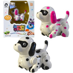 Pejsek, jezdící po namalované čáře