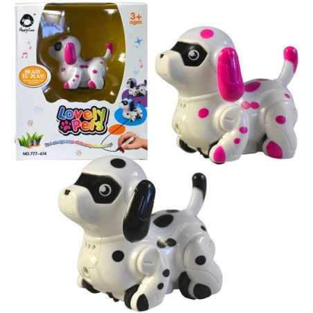 Pejsek, jezdící po namalované čáře