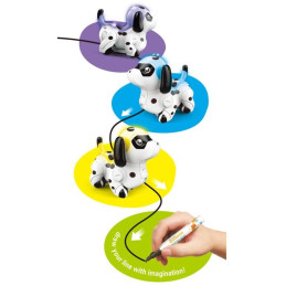 Pejsek, jezdící po namalované čáře