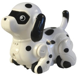 Pejsek, jezdící po namalované čáře