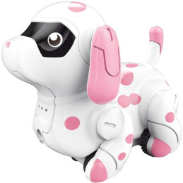 Pejsek, jezdící po namalované čáře