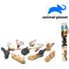 Animals in a tube - farm, 5 - 8 cm, mobile application for displaying animals, 10 pcs.