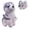 Pies Husky, 25 cm