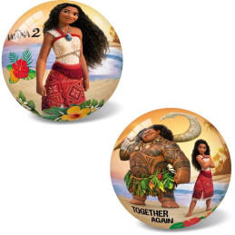 Míč VAIANA II, 23 cm