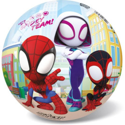 Míč SPIDEY, 23 cm
