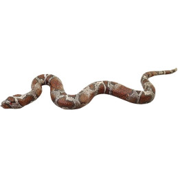 Zvířátka, 36 ks v display boxu