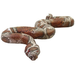 Zvířátka, 36 ks v display boxu