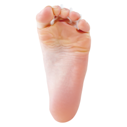 Gel toe separator