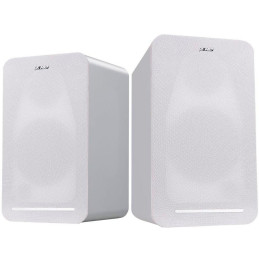 FENDA F&D speaker R40BT/ 2.0/ 60W/ wooden/ white/ BT4.2/ USB/ optical input/ remote control