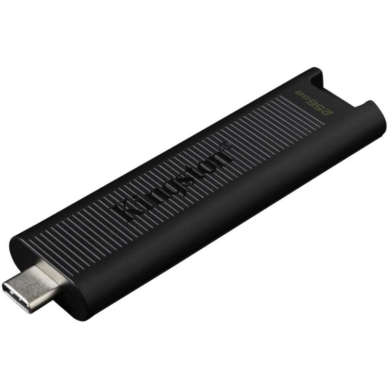 KINGSTON DataTraveler Max 256GB / USB 3.2 Gen2 Typ-C / bis zu 1.000MB/s schreiben / schwarz