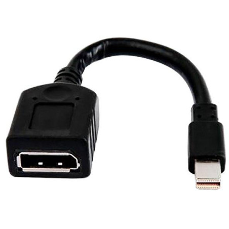 HP (Bulk 12) miniDP-auf-DP-Adapterkabel