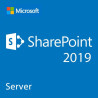 Elektronische Lizenz: Microsoft CSP SharePoint Server 2019 1 Benutzer-CAL – Dauerlizenz