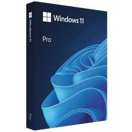 Microsoft WINDOWS 11 Pro 64-Bit Tschechisches USB-FPP – Box
