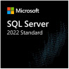Elektronická licencia: Microsoft CSP SQL Server Standard Editon 2022 1 User CAL - trvalá licencia
